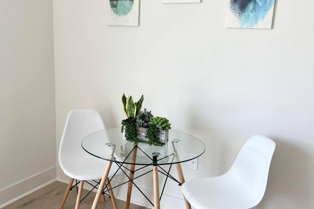 Studio Apartment, Queen Bed, Wifi, Kitchen, Washer & Dryer In Charlotte Buitenkant foto